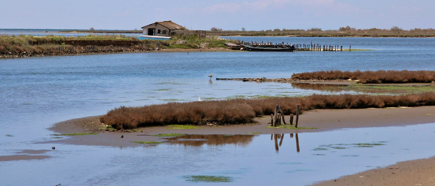Delta-evros